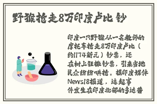 久久久国产精华液2023特点