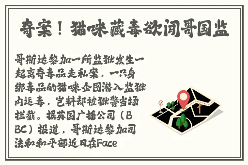 男Ji大巴进入女人的直播