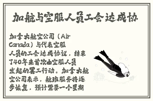 蜘蛛密友